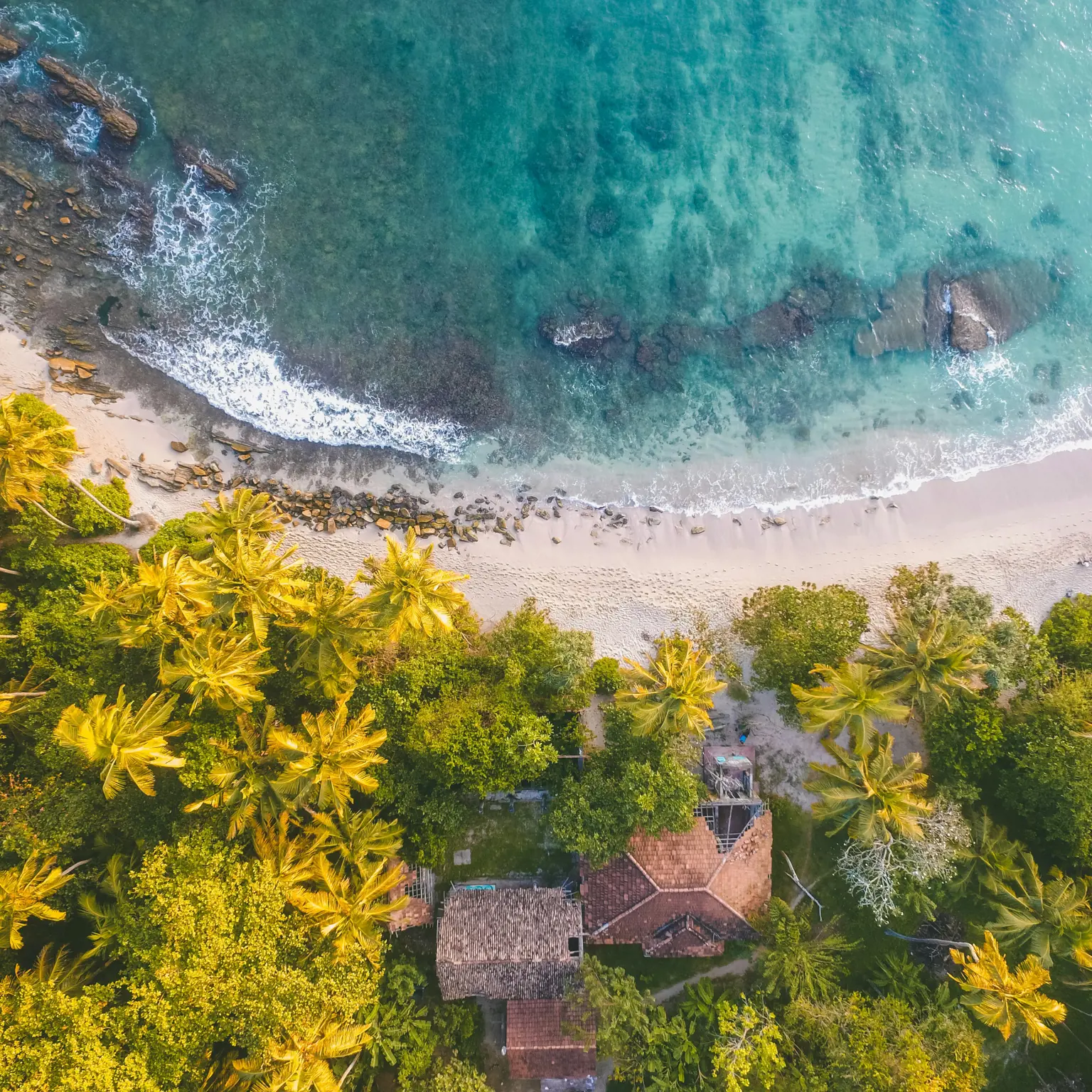 Die Unterwasserwelt in Sri Lankas tropischem Osten erkunden